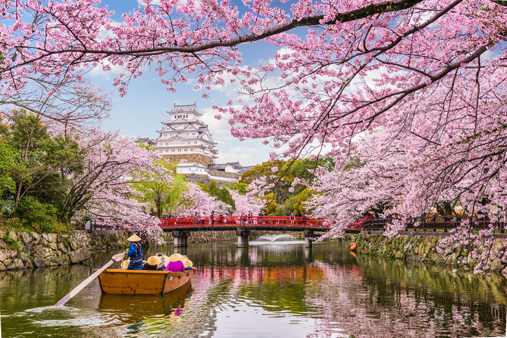 Himeji Castle in spring